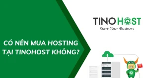 TINO HOST